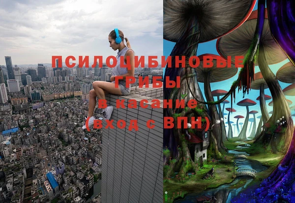 ГАЛЛЮЦИНОГЕННЫЕ ГРИБЫ Абдулино