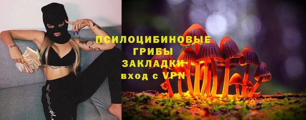 2c-b Абаза
