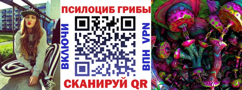 mega как войти  Руза  Псилоцибиновые грибы GOLDEN TEACHER 